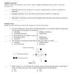 Ch 14 Human Genome Study Guide Regarding Chapter 14 The Human Genome Worksheet Answer Key