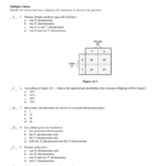 Ch 14 Pretest Answers In Chapter 14 The Human Genome Worksheet Answer Key