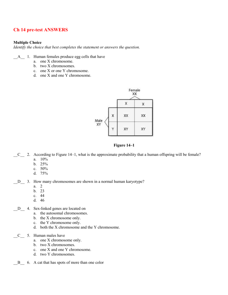 Ch 14 Pretest Answers In Chapter 14 The Human Genome Worksheet Answer Key