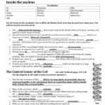 Ch 4 Review From Workbook Answers Regarding Dna And Genes Worksheet