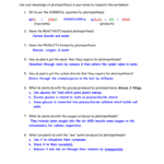 Ch 9  Photosynthesis Review Worksheet Use Your Knowledge Of With Photosynthesis Review Worksheet Answer Key