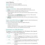 Chapter 10 Cell Growth And Division Worksheet Answer Key In Regulating The Cell Cycle Worksheet