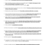 Chapter 11 Introduction To Genetics Worksheet Answers 4 Answer Key 5 With Regard To Introduction To Energy Worksheet Answers