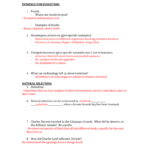 Chapter 14 And 15 Review Sheet Answers Along With Chapter 14 The Human Genome Worksheet Answer Key