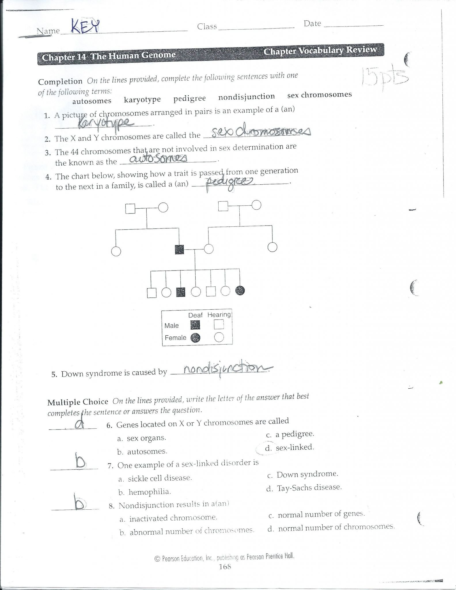 Chapter 14 The Human Genome Worksheet Answer Key  Briefencounters And Chapter 14 The Human Genome Worksheet Answer Key