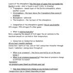 Chapter 15  Atmosphere Study Guide For Energy Transfer In The Atmosphere Worksheet Answers