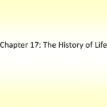 Chapter 17 The History Of Life And Section 17 1 The Fossil Record Worksheet Answer Key