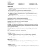 Chapter 17 Within Teaching Transparency Worksheet Answers