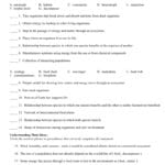 Chapter 2 Assessment Worksheet In Pdf Format For Chapter 2 Principles Of Ecology Worksheet Answers