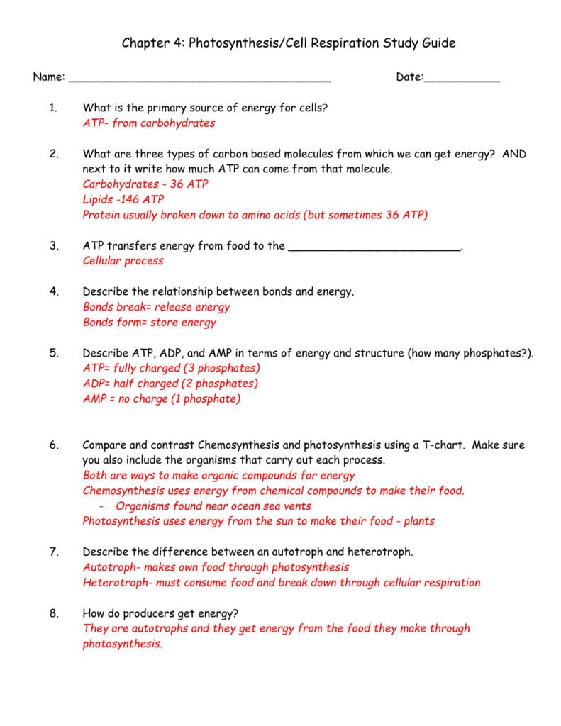 Chapter 4 Photosynthesiscell Respiration Study Guide Name Regarding Cellular Respiration Breaking Down Energy Worksheet