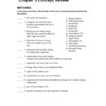 Chapter 5 Concept Review And Science Skills Worksheet Answers Biology