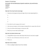 Chapter 5 Study Guides As Well As Regulating The Cell Cycle Worksheet