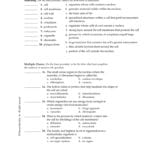 Chapter 7 Cell Structure And Function Chapter Vocabulary Review In Chapter 7 Cell Structure And Function Worksheet Answer Key