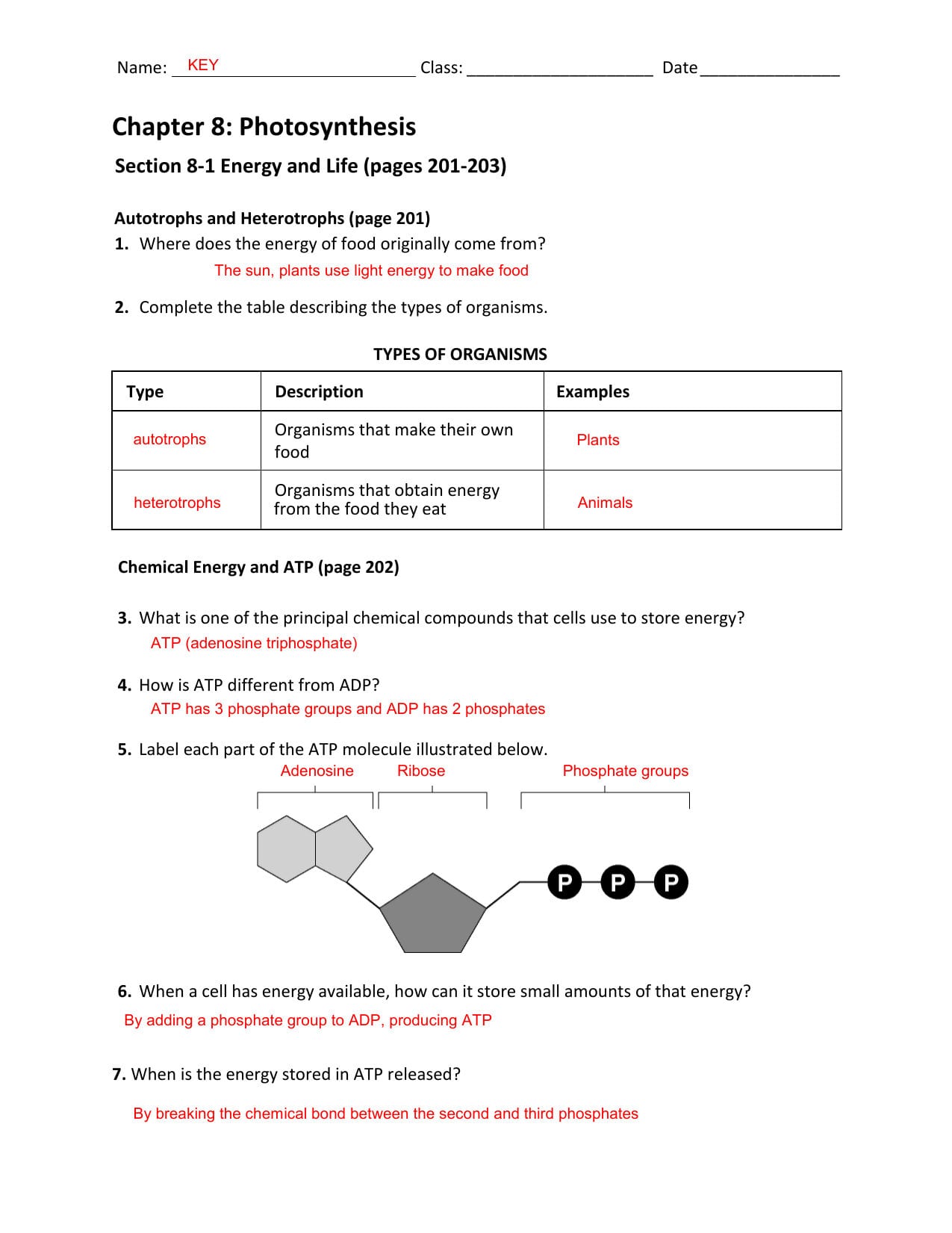 Chapter 8 Photosynthesis Together With Section 8 1 Energy And Life Worksheet Answer Key