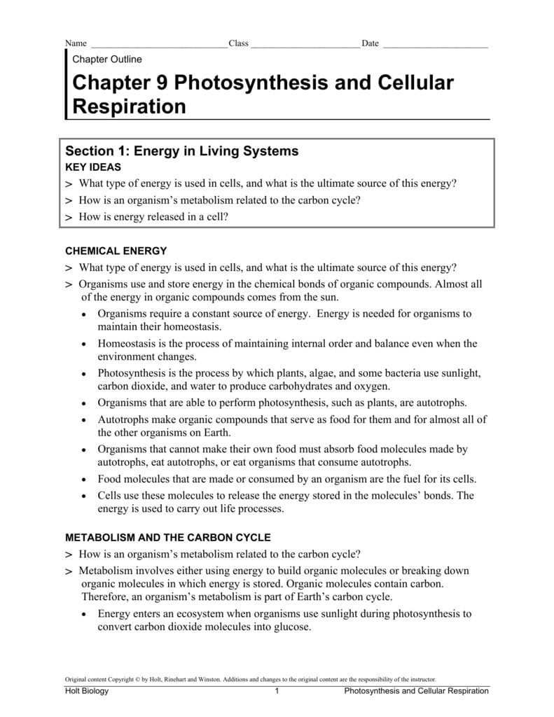 Chapter 9 Photosynthesis And Cellular Respiration And Chapter 9 Energy In A Cell Worksheet Answer Key