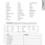 Chapter Cell Structure And Function 3 Vocabulary Practice Pages 1 Inside Chapter 4 Cells And Energy Vocabulary Practice Worksheet Answer Key