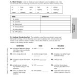 Chapter Cells And Energy 4 Vocabulary Practice Pages 1  4  Text Pertaining To Chapter 4 Cells And Energy Vocabulary Practice Worksheet Answer Key