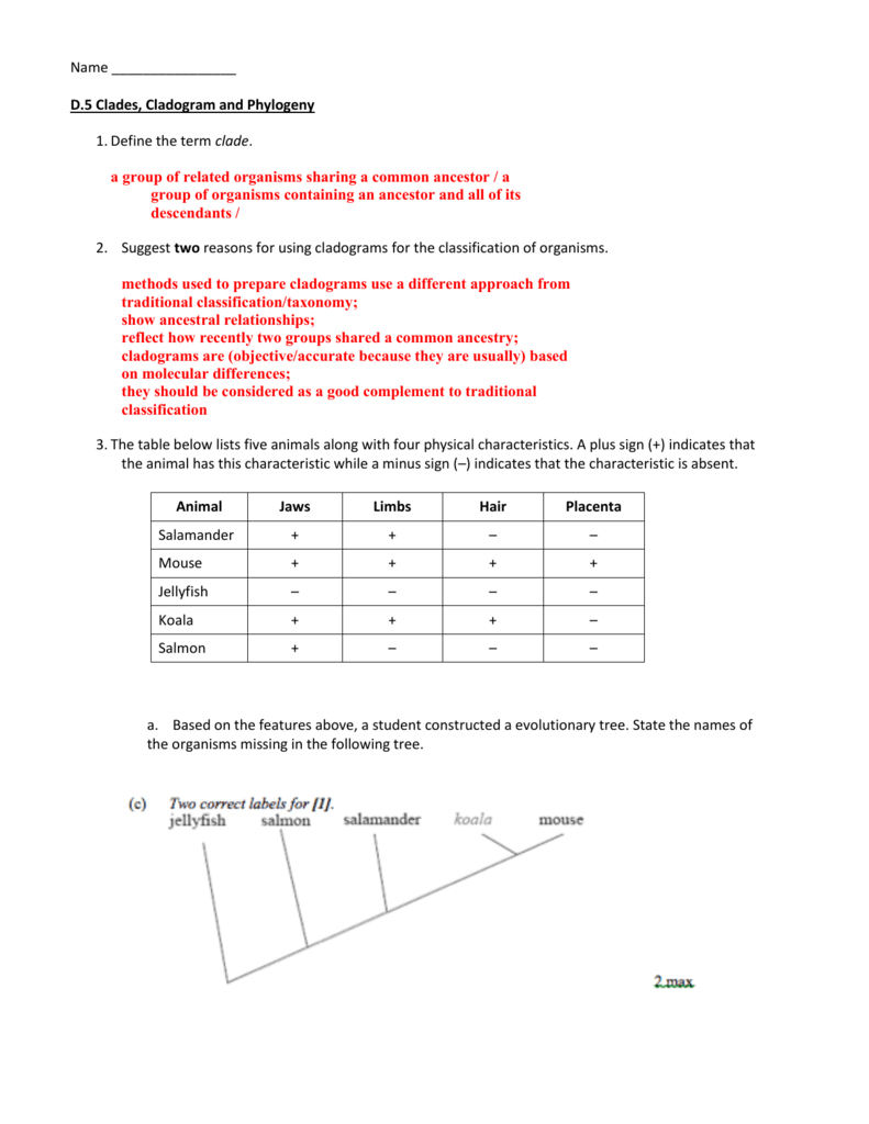 Cladogram Worksheet Answers — excelguider.com