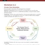 Circular Flow Model Of A Market Economy Worksheet  Best Description And The Market Economy Worksheet