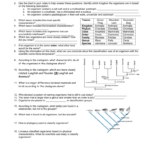 Classification  Kingdoms Along With Kingdom Classification Worksheet Answers