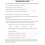 Classification Of Life Worksheet Pertaining To Biological Classification Worksheet