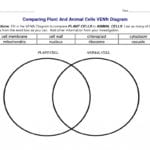 Comparing Plant And Animal Cells Venn Animal And Plant Cells In The Animal Cell Worksheet