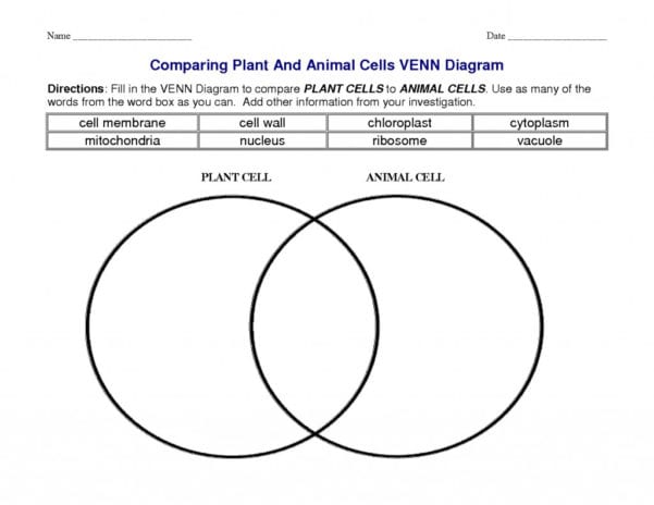 Comparing Plant And Animal Cells Venn Animal And Plant Cells in The ...