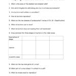 Comparing Viruses And Bacteria – Review Worksheet 1 Pertaining To Viruses And Bacteria Worksheet