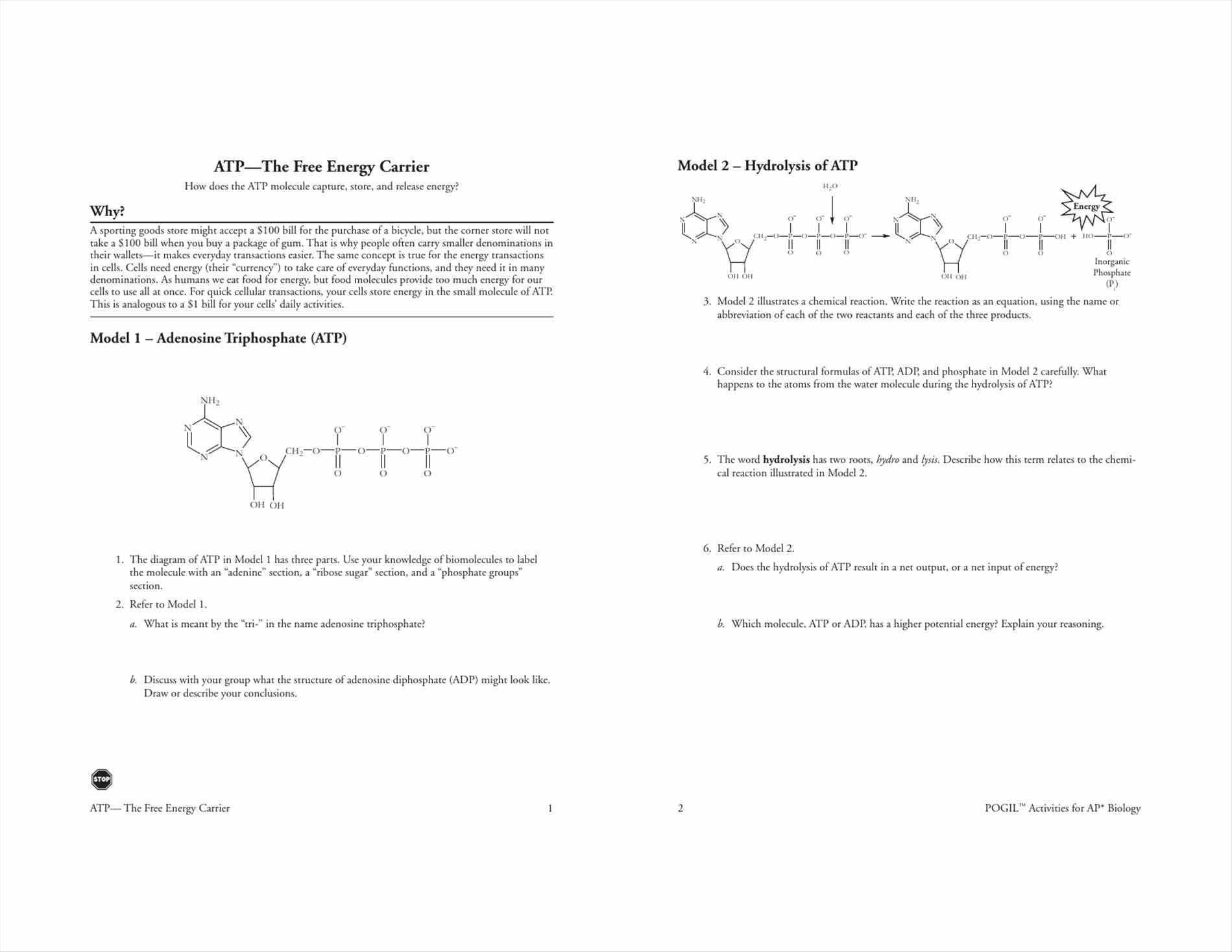 Control Of Gene Expression In Prokaryotes Pogil Worksheet Answers Intended For Protein Structure Pogil Worksheet Answers