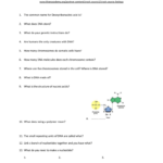 Crash Course Biology Notes On Dna Structure And Replication Along With Dna Structure And Replication Worksheet Answers