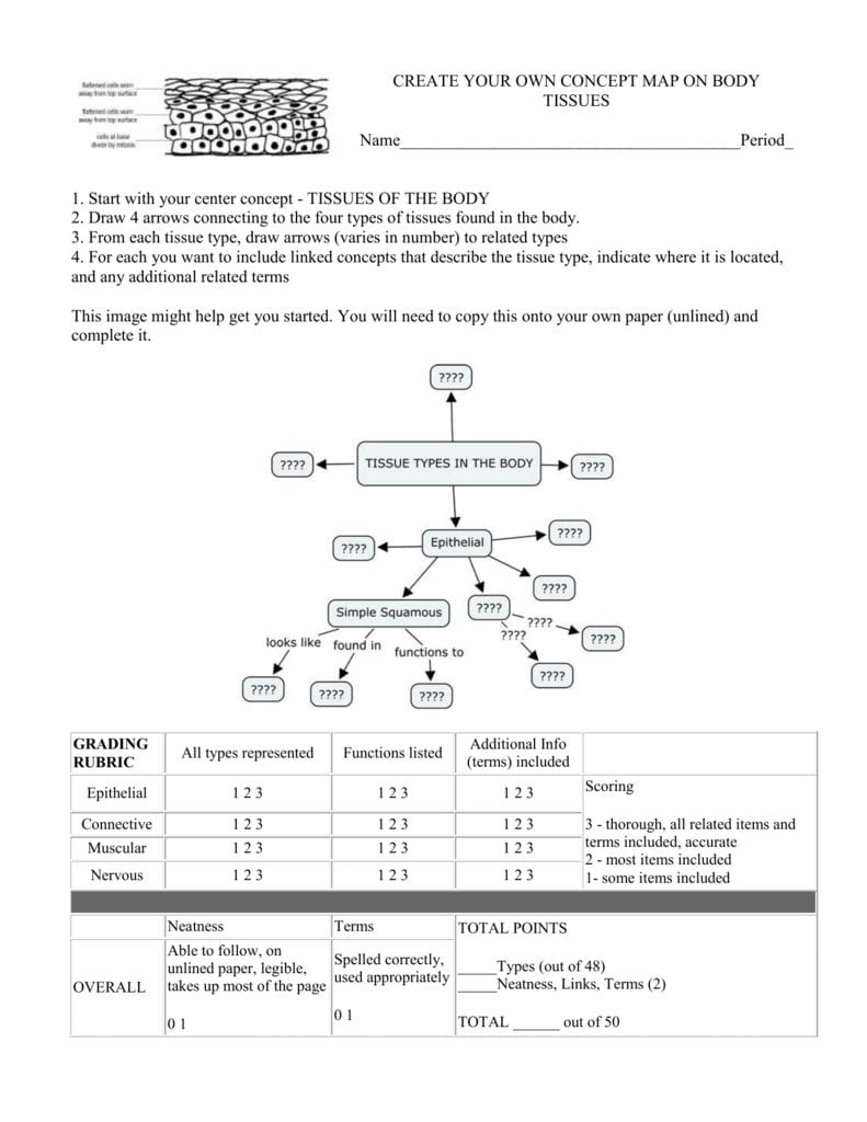 Create Your Own Concept Map On Body Tissues And Body Tissues Worksheet
