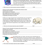Darwin's Natural Selection Worksheet Pertaining To Natural Selection Worksheet
