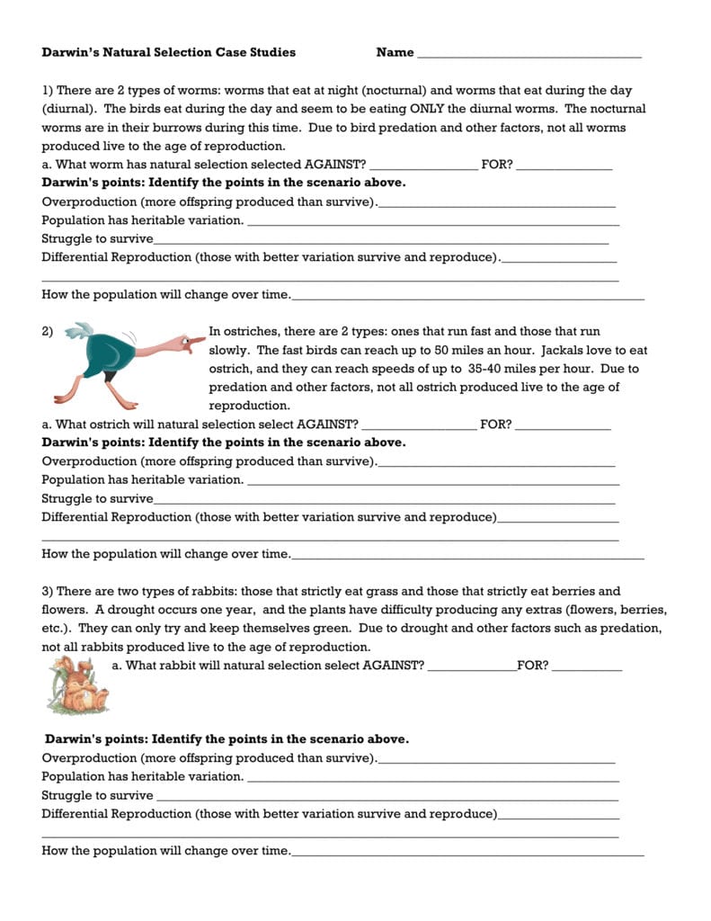 Darwin's Natural Selection Worksheet With Regard To Evolution By Natural Selection Worksheet Answers