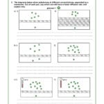 Diffusion Osmosis And Active Transport Worksheet With Active Transport Worksheet