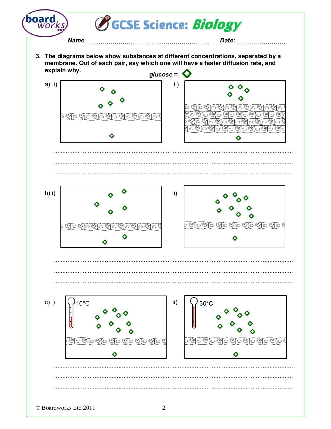 Diffusion Osmosis And Active Transport Worksheet With Active Transport Worksheet