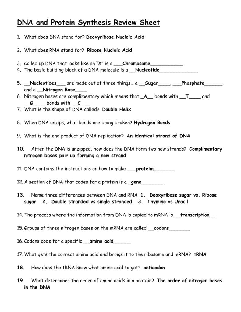 Dna And Protein Synthesis Review Sheet For Protein Synthesis Review Worksheet Answers