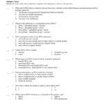 Dna And Rna Chapter 12 1 In Dna And Rna Structure Worksheet Answer Key