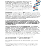 Dna  Coloring For Dna The Double Helix Coloring Worksheet Answers