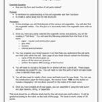 Dna Matching Worksheet  Briefencounters Pertaining To Dna Matching Worksheet