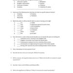 Dna Matching Worksheet Rna Protein Synthesis Test Math Worksheets With Regard To Dna Matching Worksheet