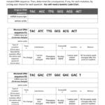 Dna Mutations Practice Worksheet Throughout Dna Practice Worksheet