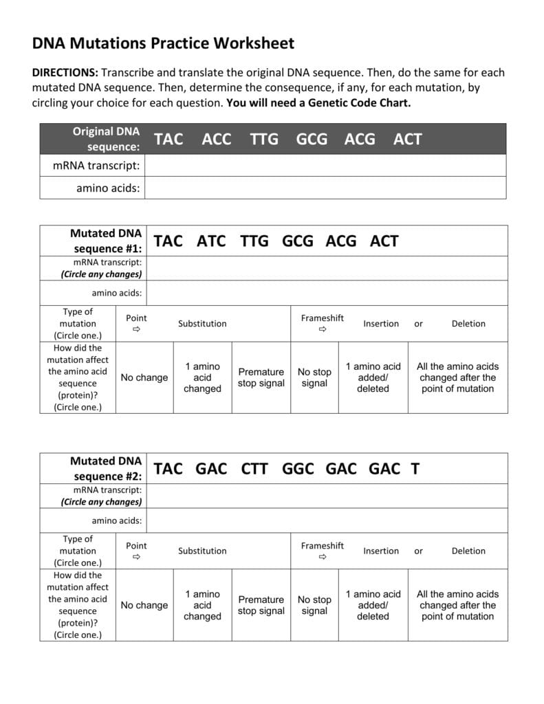 Dna Mutations Practice Worksheet Throughout Dna Practice Worksheet
