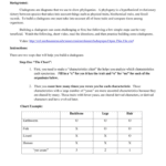 Dna Profiling Worksheet  Briefencounters For Dna Profiling Worksheet