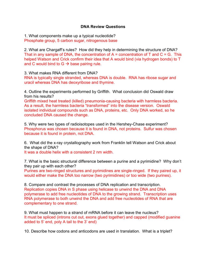 Dna Review Questions Answers Pertaining To Dna Review Worksheet Answer Key