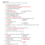 Dna  Rna Structure And Function Or Dna And Rna Structure Worksheet Answer Key