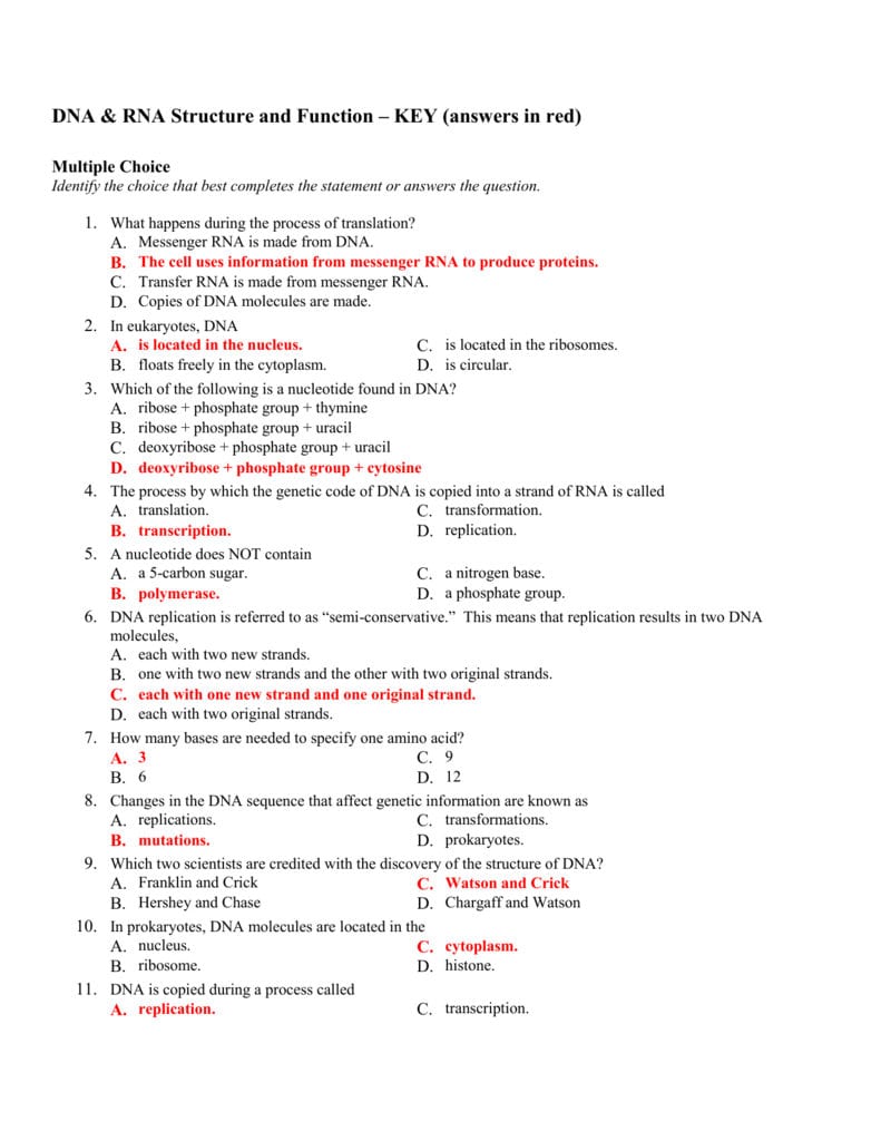 Dna  Rna Structure And Function Or Dna And Rna Structure Worksheet Answer Key