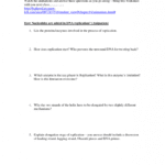 Dna Structure And Replication Worksheet Math Worksheets Pogil With Protein Structure Pogil Worksheet Answers