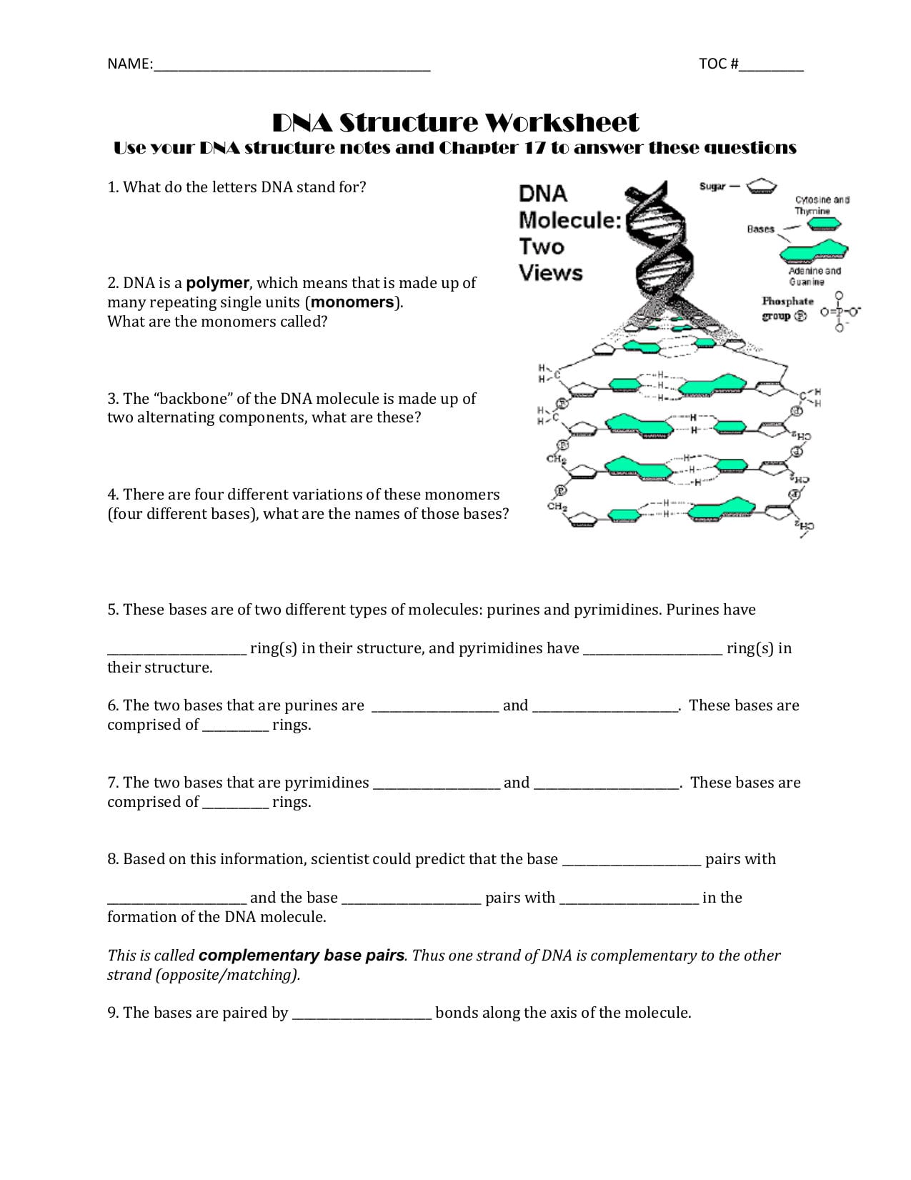 Dna Structure Worksheet And Dna Structure Worksheet