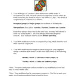 Dna The Double Helix Coloring Worksheet Answers  Briefencounters Regarding Dna The Double Helix Worksheet Answer Key
