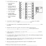 Dna The Molecule Of Heredity Worksheet Math Worksheets Replication For Dna And Genes Worksheet